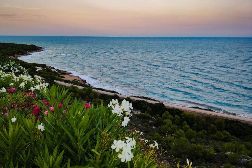 Apartamento recién reformado en primera línea con vistas a la playa de la Almadraba Benicàssim Esterno foto